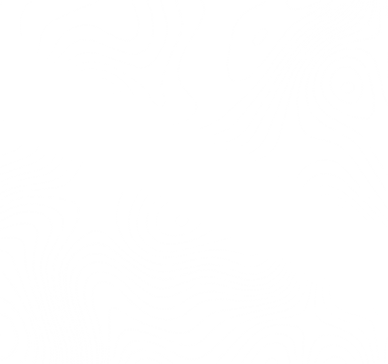 Topo Pass through white.png